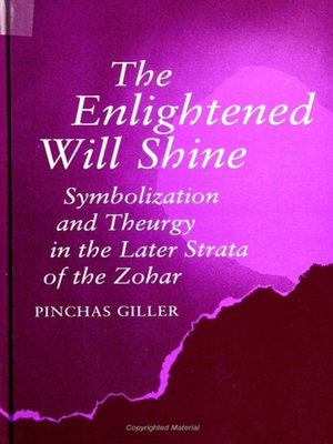 cover image of The Enlightened Will Shine